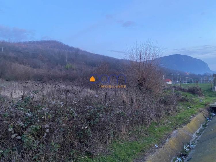 Teren Construcții intravilan de 4836 mp, în Mehadia