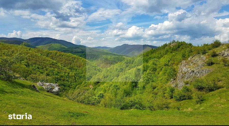 Casă cu 8 camere cu Teren 4815 Mp în Luna