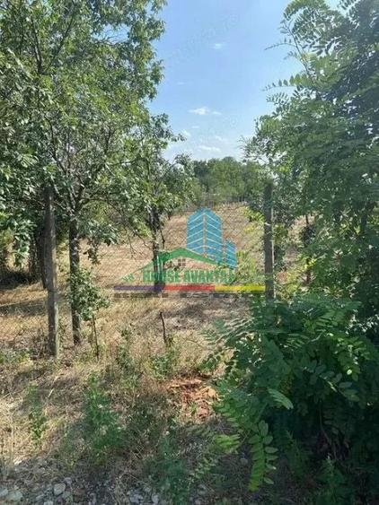 Teren de 1500 mp, în Petrești