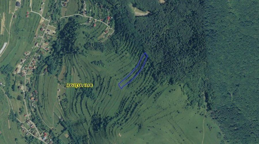 Teren agricol extravilan de 6432 mp, în Tăuți