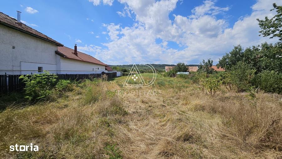 Teren de 3863 mp, în Turcinești