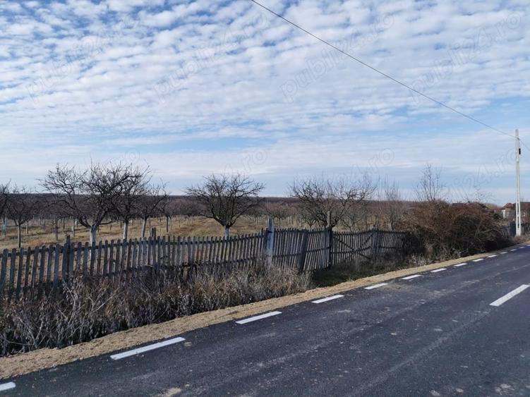 Teren de 11500 mp, în Ciomăgești