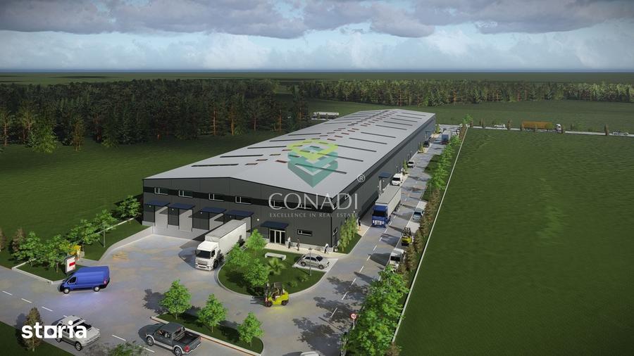 Teren de vanzare cu autorizatie pentru 2 hale - Otopeni - 10.000 mp - 9