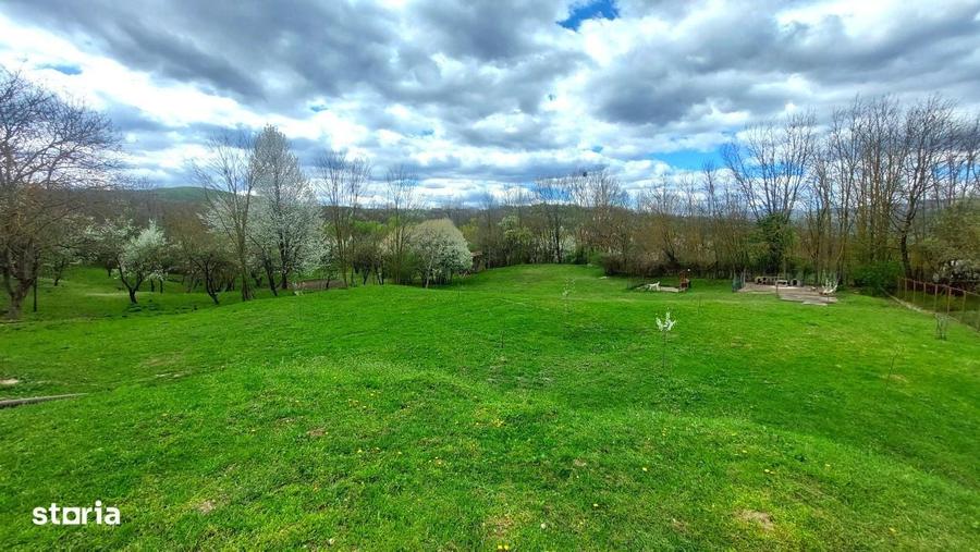 Gospodarie, casa cu 5 camere si 8272 mp teren, in Oarda - 17