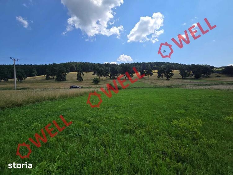 Teren de 3450 mp, în Valea Mare