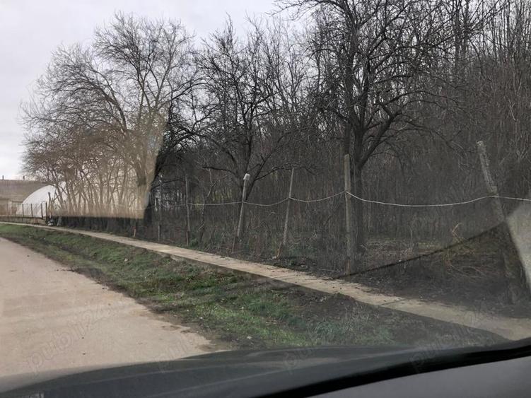 Teren de 3478 mp, în Viișoara