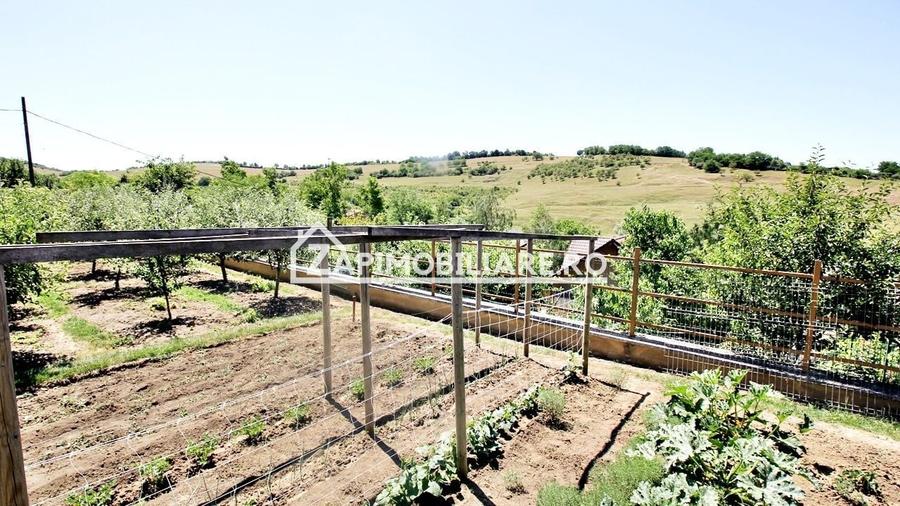 Teren Construcții intravilan de 650 mp, în Dâmbu Pietros