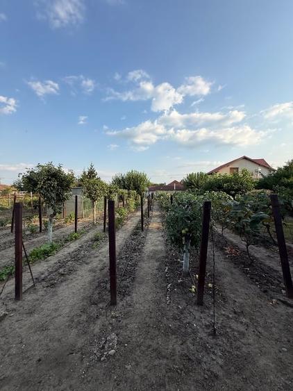 Casă individuală cu 5 camere cu Garaj în Vânători