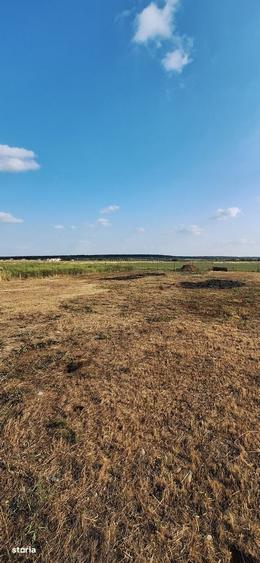 Cihei-teren intravilan ,langa fundatia Nesu - 7