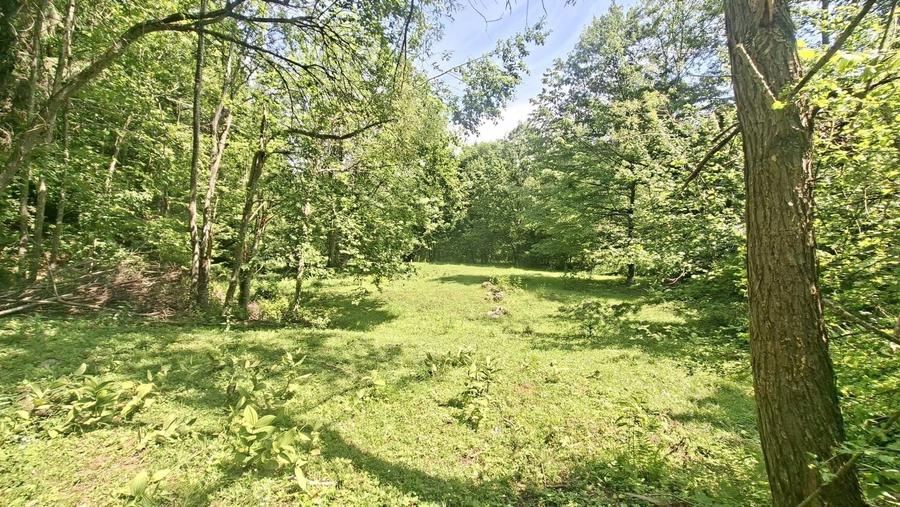 Teren Construcții extravilan de 126000 mp, în Glăjărie