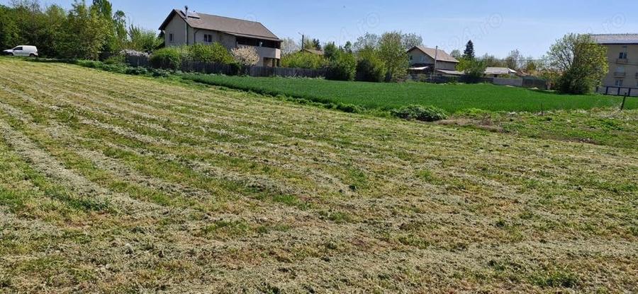 Teren de 1100 mp, în Orăști