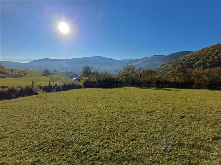 Teren agricol extravilan de 2455 mp, în Rășinari