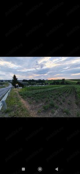 Teren de 2600 mp, în Udești