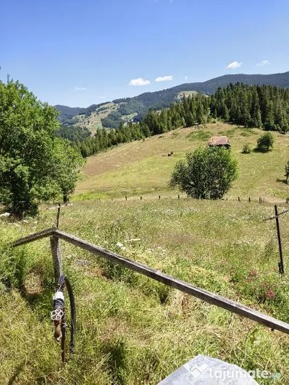 Casă cu 2 camere în Arieșeni