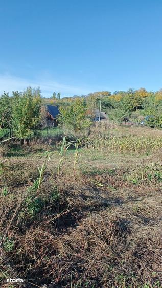 Teren de 3400 mp, în Horodnic