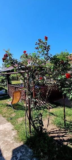 De vanzare Casa in Valea lui mihai - 8