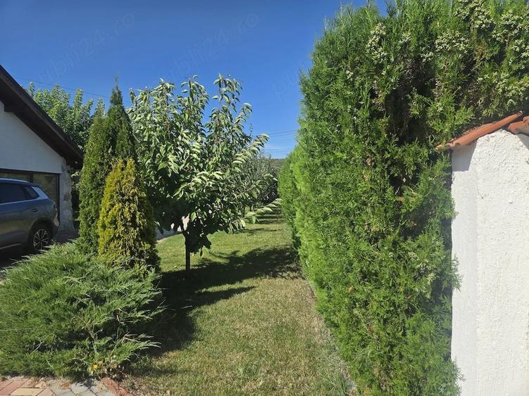 Casă cu Teren 750 Mp în Pleșești (Berca)
