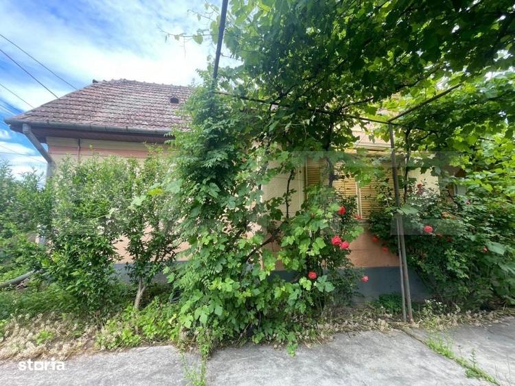 Casă cu 3 camere cu Teren 2000 Mp în Viișoara