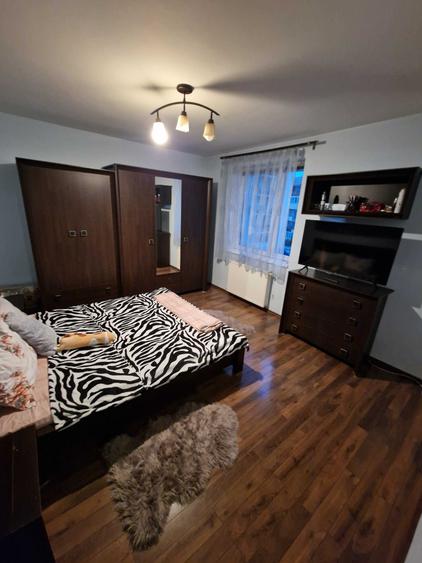 Apartament cu 2 camere decomandat în Turnișor