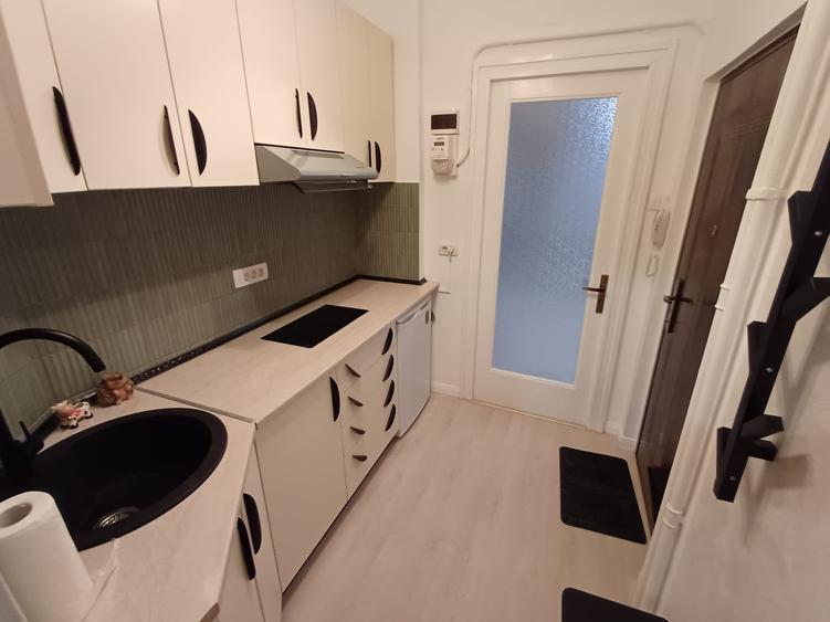 Universitate,Cismigiu,Sala Palatului,impecabila,renovata,bloc consolidat - 6
