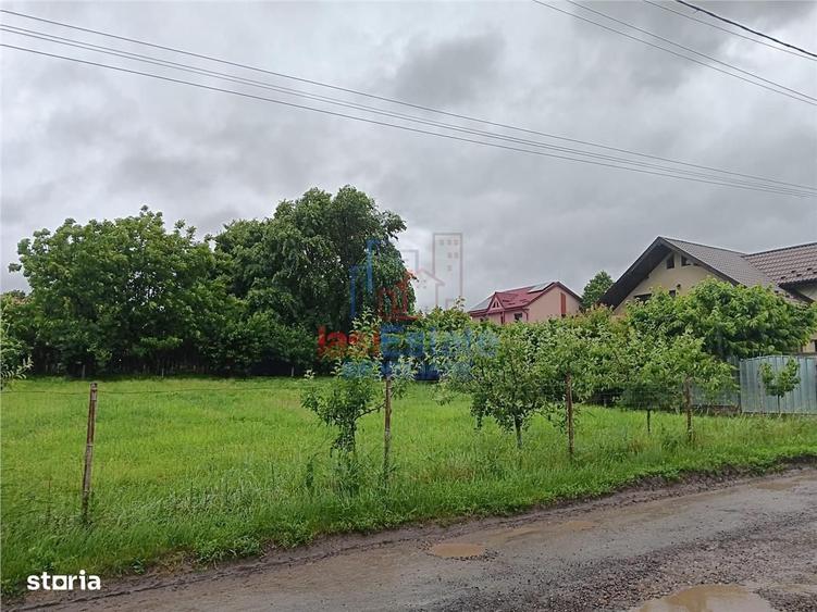 Spațiu comercial, în Valea Ursului