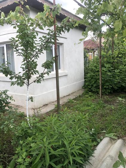 Teren intravilan cu casa batraneasca in Caldararu Ilfov - 1