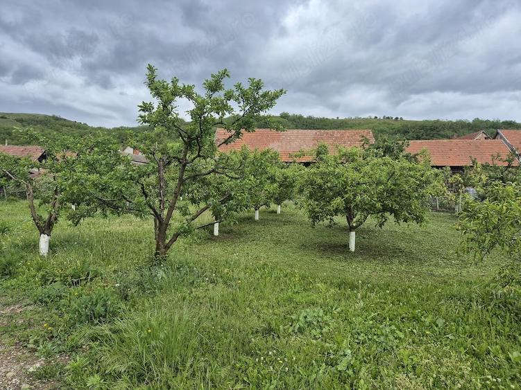 Casă cu 4 camere cu Teren 1600 Mp în Bucerdea Vinoasă