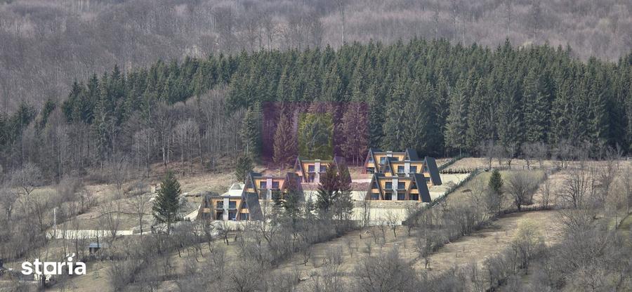 Teren de 2500 mp, în Valea Doftanei