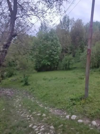 Teren intravilan | Provița de Sus | Breaza | PRAHOVA - 4