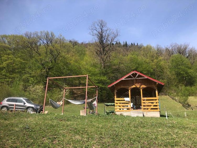 Teren de 6600 mp, în Cuejdiu