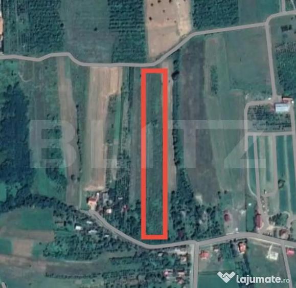 Teren de 12765 mp, în Viile Satu Mare