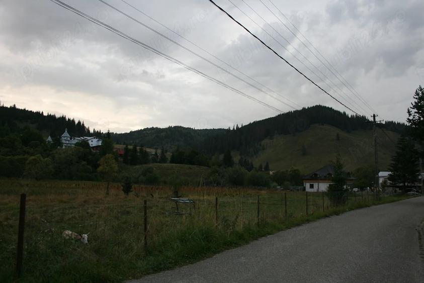 Teren de 13841 mp, în Valea Putnei