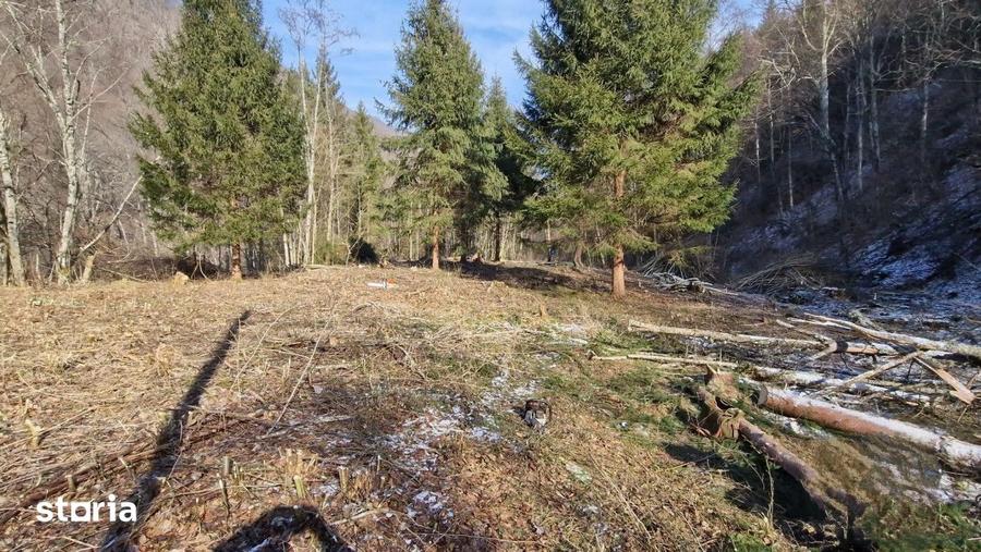 Teren Intravilan de Vanzare 3279 MP Coada Lacului Tarnita - 6