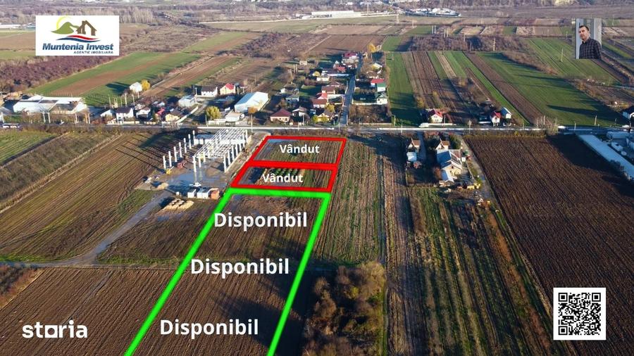 Teren de 2500 mp, în Mărăcineni