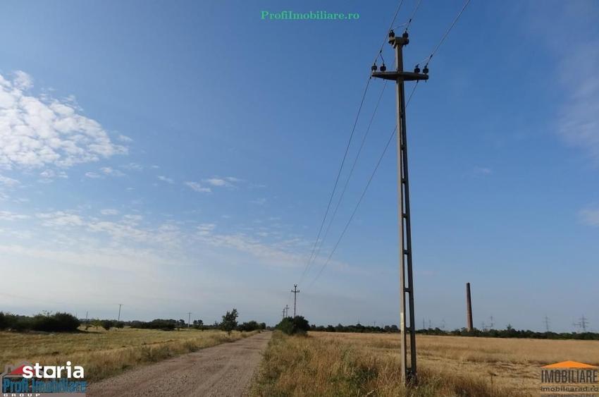 Teren de 8093 mp, în Sânnicolau Mic