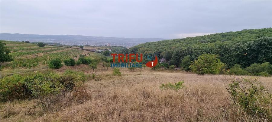Teren Construcții intravilan de 1808 mp, în Cetate