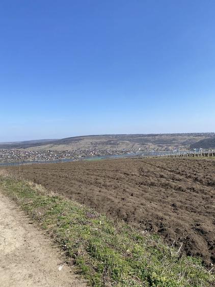 Vand teren Sorogari - 1