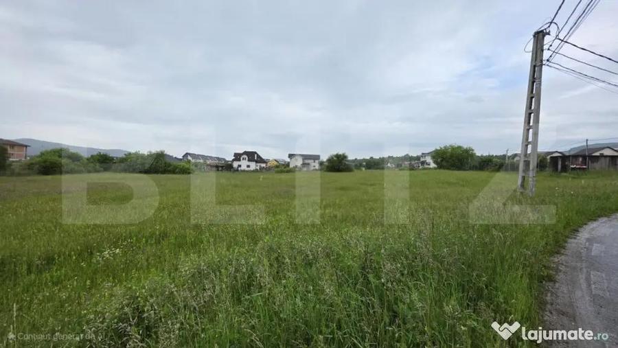 Teren intravilan, 48,3 ari zona Valea Rusului, - 3