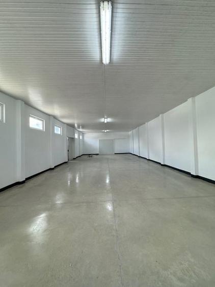 Spațiu industrial, de 200 mp, în Sud-Vest