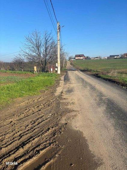 Teren de 5000 mp, în Glina