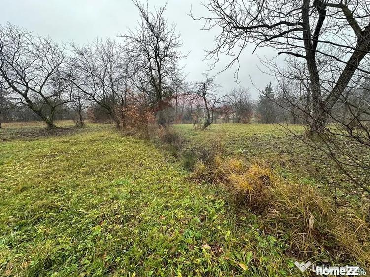 Teren în Tăuții-Măgherăuș