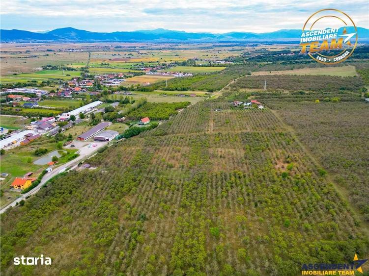 Teren de 6510 mp, în Ilieni