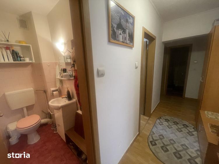 Apartament cu 3 camere decomandat în Sub Arini