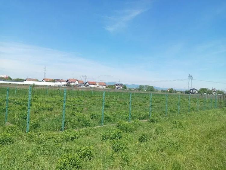 Teren Intravilan 837 mp Stupini - 3