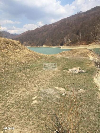 Teren de 391 mp, în Bănești
