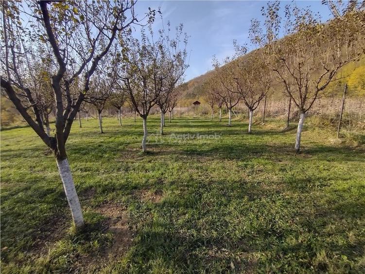 Teren de 1445 mp, în Slatina-Nera