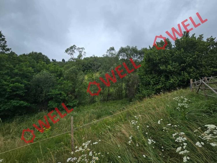 Teren extravilan de 3300 mp, în Sărămaș