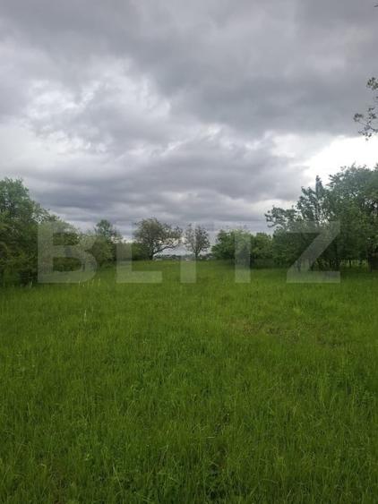 Teren agricol intravilan de 2691 mp, în Vest