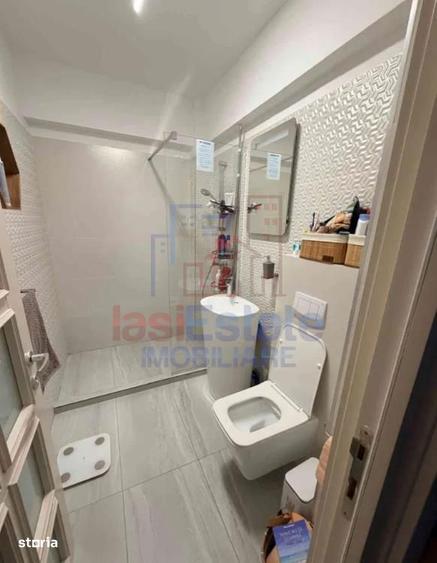 Apartament 4 camere Valea Lupului - 2