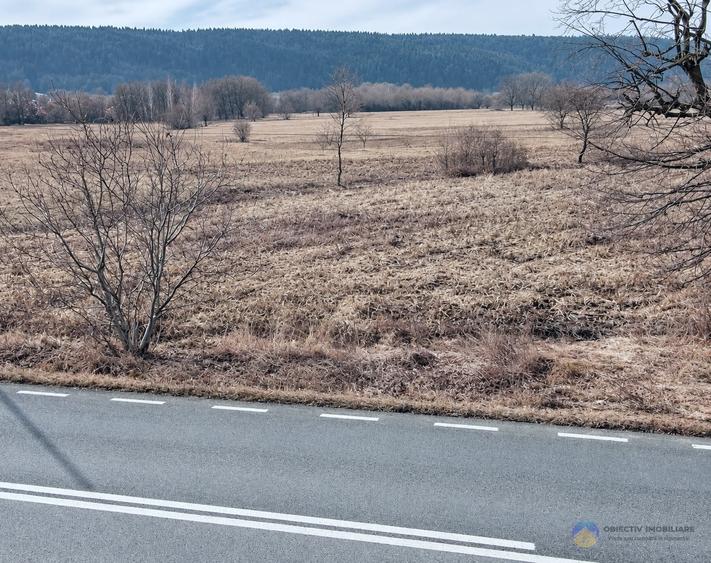 Teren intravilan de 3035 mp, în Bodești